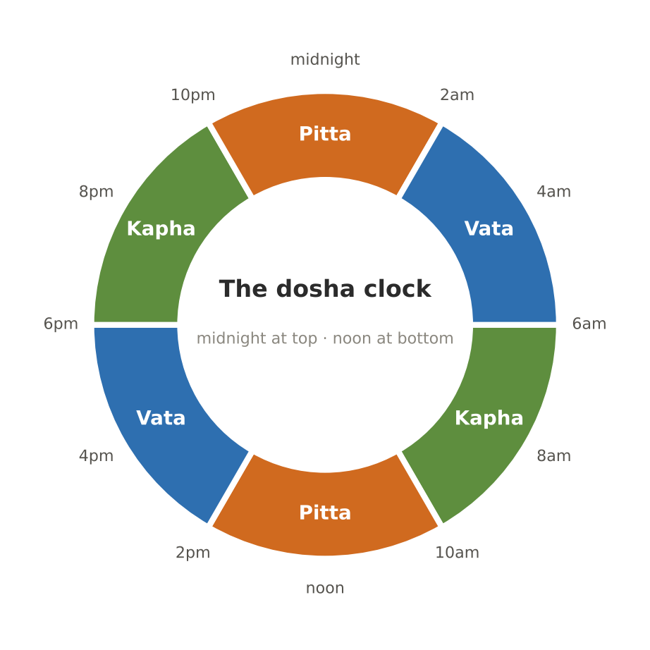 The dosha clock — each dosha governs two four-hour periods of the day