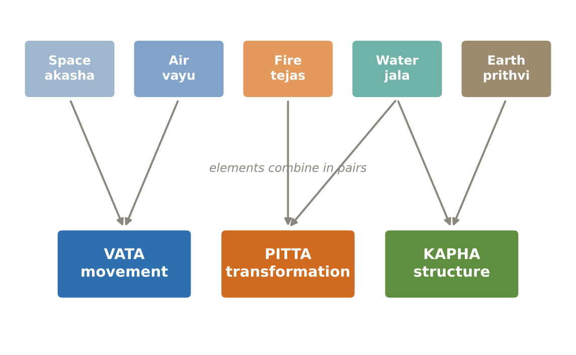 How the five elements combine to form the three doshas