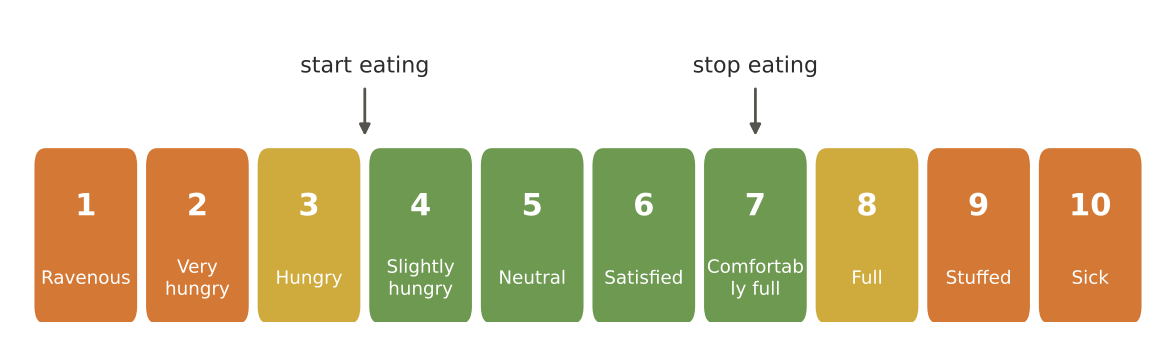 The hunger–fullness scale: begin eating at 3–4 and stop at 6–7