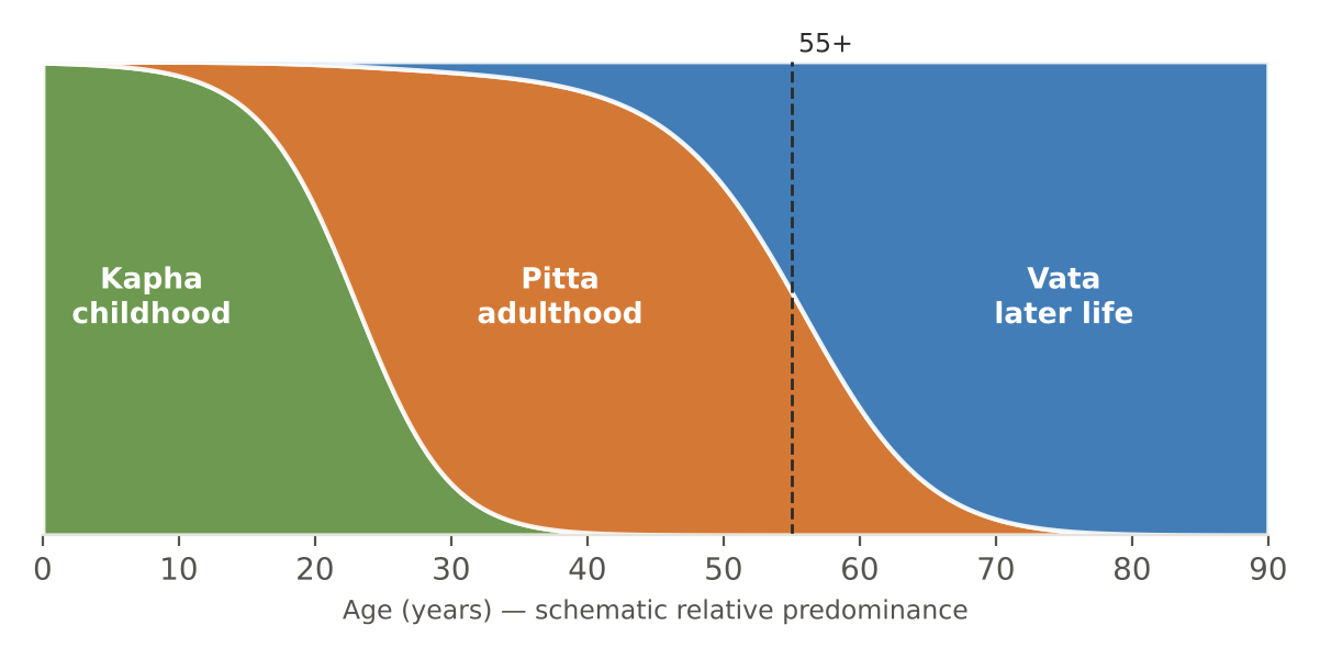 The doshas across the lifespan — later life is the Vata stage