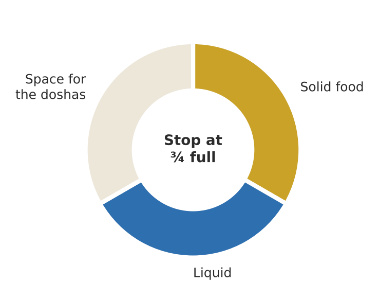 The classical division of the stomach — solid, liquid and space